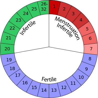 A round 26-32 fertility day calendar split into three colored parts with day 1-7 in red to signal menstruation/infertile days; day 8-19 in purple to signal fertile days; day 20-32 signals infertile days., 