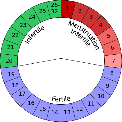 Least Likely Time to Get Pregnant  Menstrual cycle, Menstruation cycle,  Fertility awareness