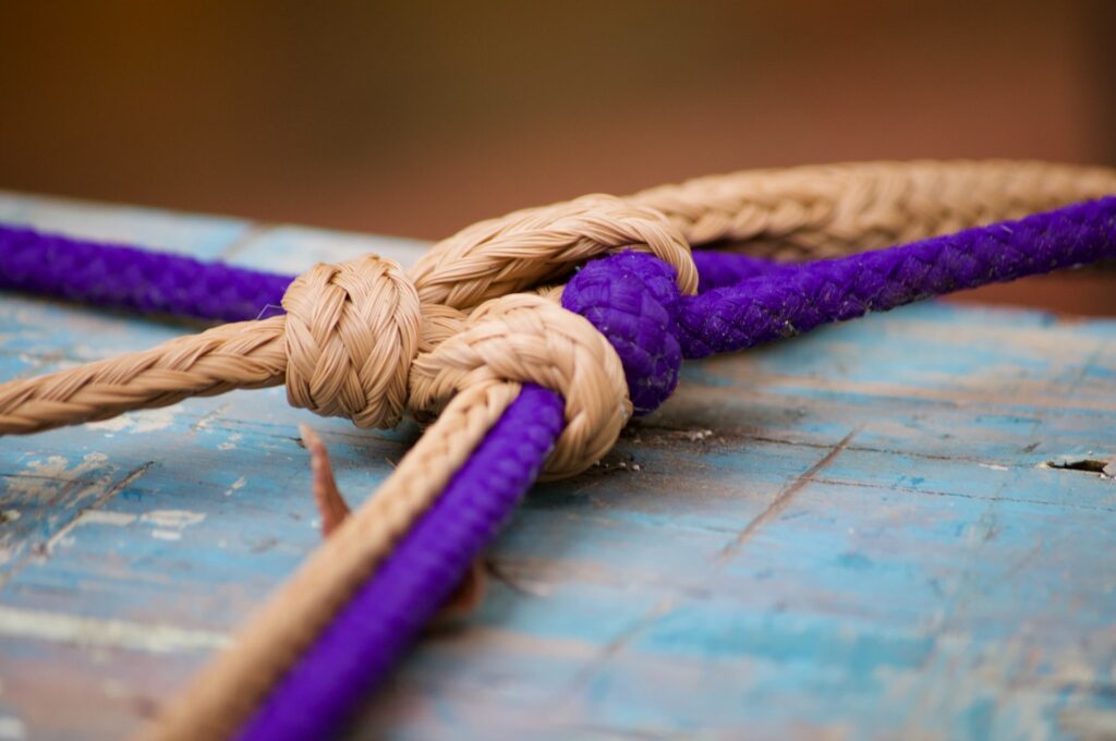 One purple rope and one beige rope twisted together.